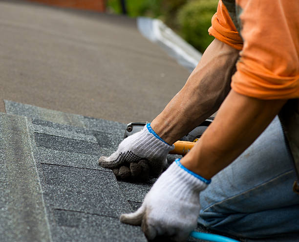 Best Emergency Roof Repair  in Martin, SD