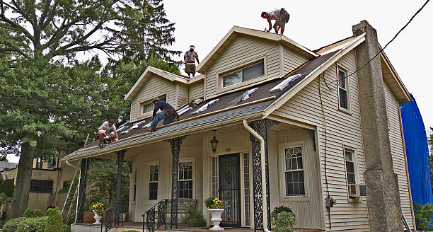 Best Roof Maintenance Services  in Martin, SD