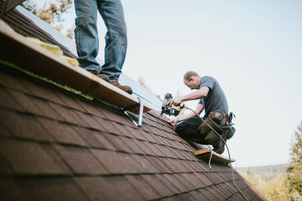 Best Commercial Roofing Services  in Martin, SD
