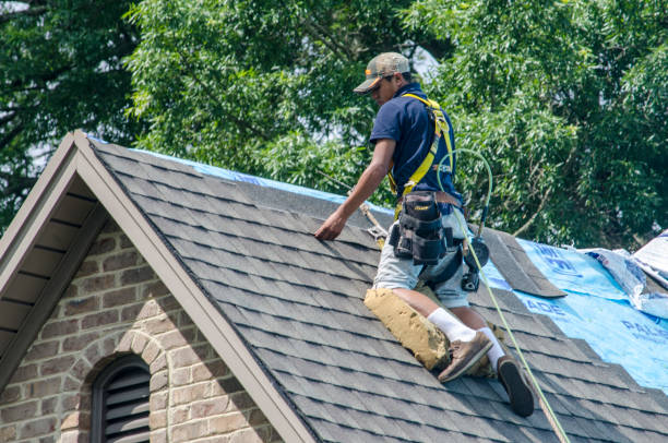 Best Roof Gutter Cleaning  in Martin, SD